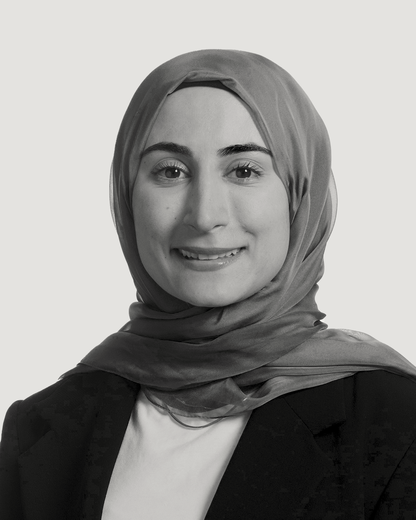 Alaa  Hachem