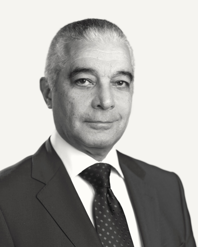 Abdelhamid  Mamdouh (Hamid)