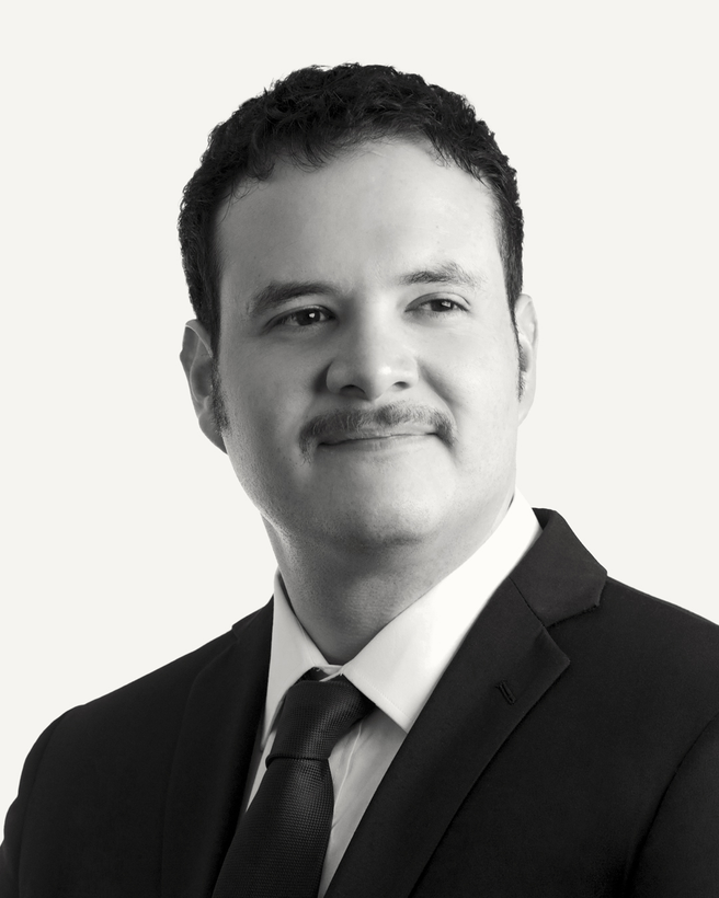 David Ernesto Peraza