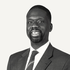 Person Amadou Diaw