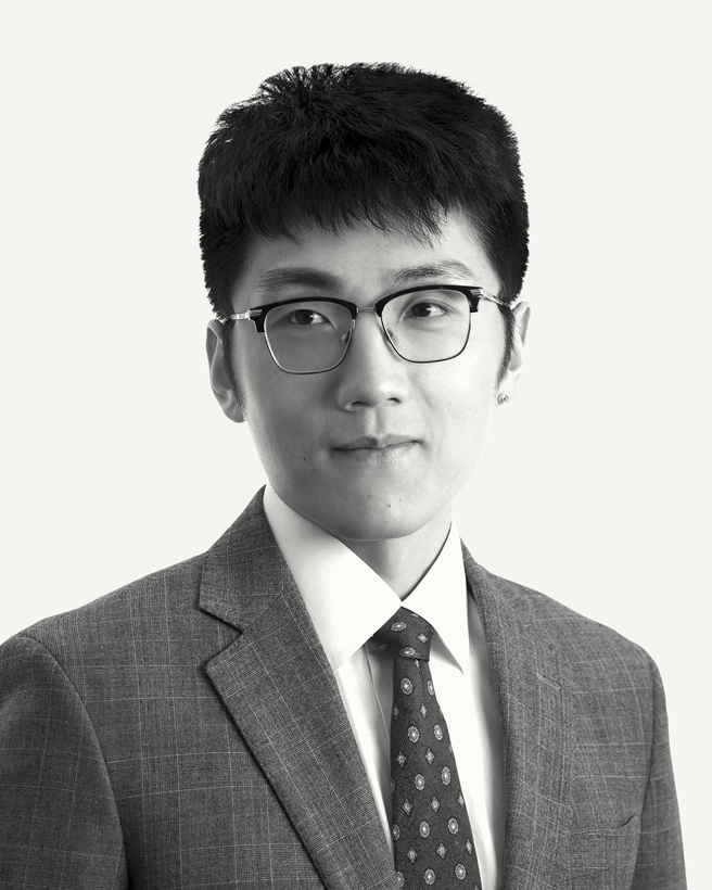Hongye  Han (Francis)
